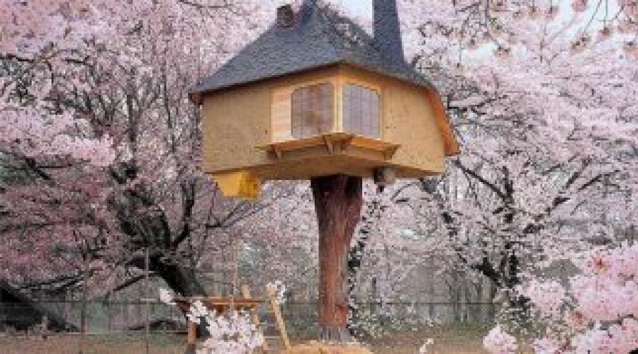 Дом на дереве — как построить проект своей мечты. Детский домик на дереве своими руками: советы по планировке и построению Дом на дереве своими руками чертежи